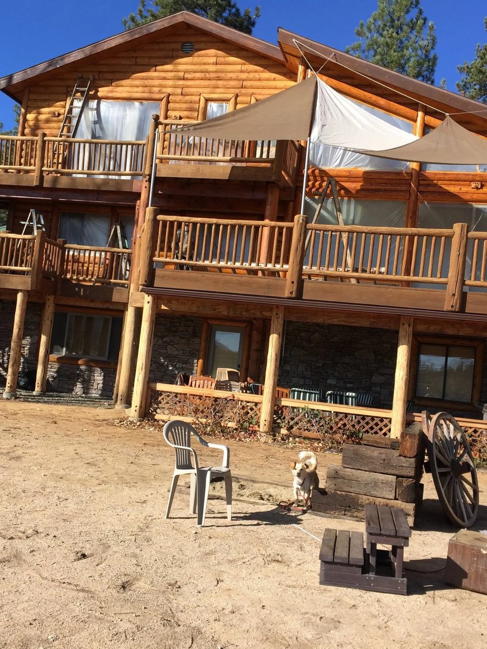 Two-story house exterior, warm gloss finish, Highland Coat Painting — photo 4 of 4